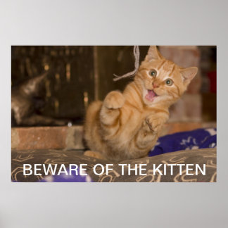 Póster Beware of the Kitten