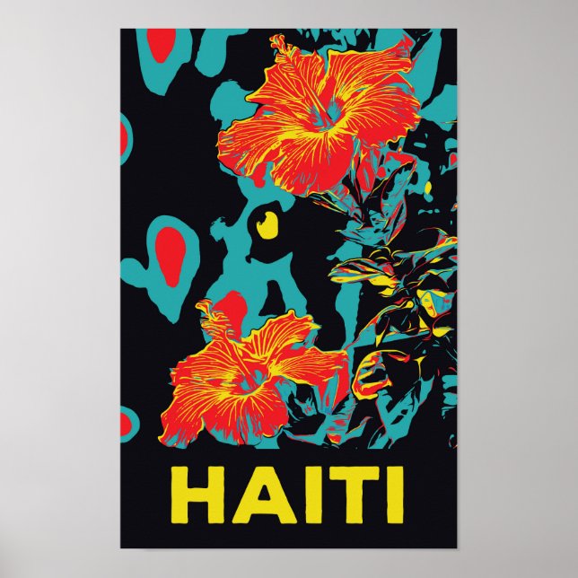 Póster Bhibisco típico de Haití (Frente)