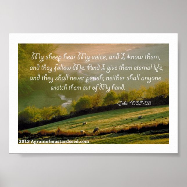 Póster Bible Scripture Prayers (Frente)