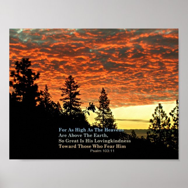 Póster Biblia cristiana Poster contra escritura creaciona (Frente)