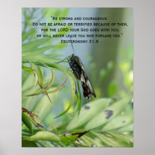 Póster Biblia de valor versus poster de mariposa Inspirad
