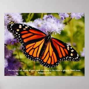 Póster Biblia sobre la naturaleza de la mariposa monarca
