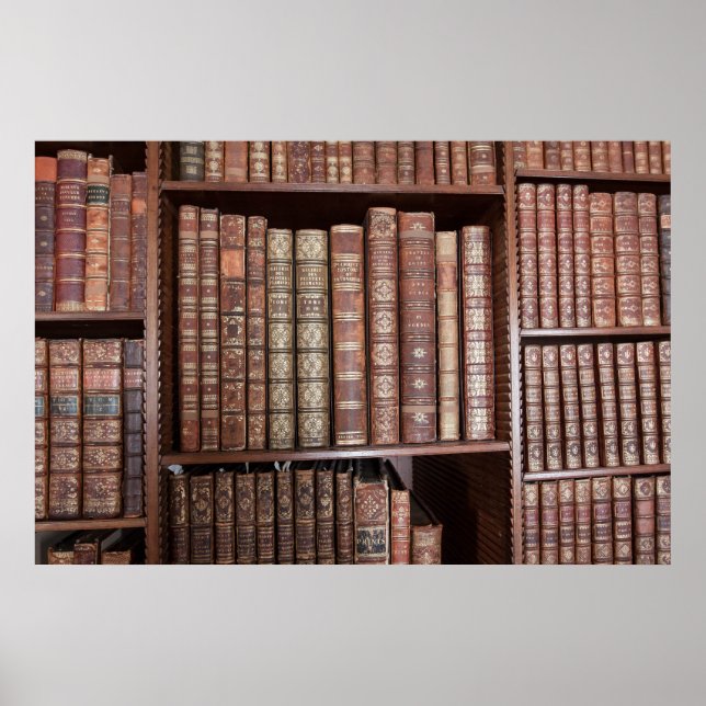 Póster Biblioteca (Frente)