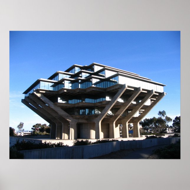 Póster Biblioteca UCSD (Frente)