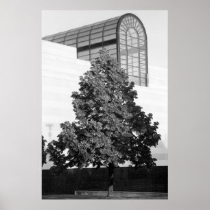 Póster Biblioteca y Centro Histórico de Michigan