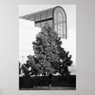 Póster Biblioteca y Centro Histórico de Michigan