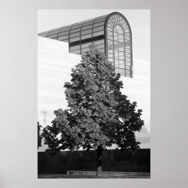 Póster Biblioteca y Centro Histórico de Michigan (Frente)