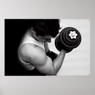 PÓSTER BICEP CURL