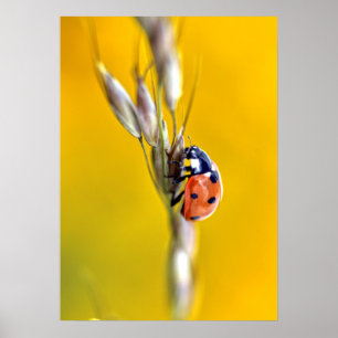 Póster Bicho de labios en Mamáes de camisetas de pegatina