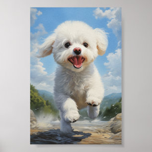 Póster Bichon Frise
