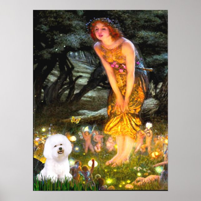 Póster Bichon Frise 1 - Noche de San Juan (Frente)