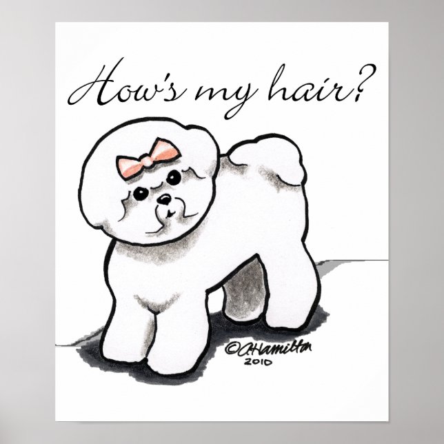Póster Bichon Frise Aprecia Mi Cabello (Frente)