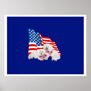 Póster Bichon Frise Bandera Americana