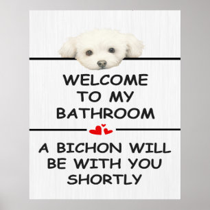 Póster Bichón Frisé de baño