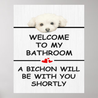 Póster Bichón Frisé de baño
