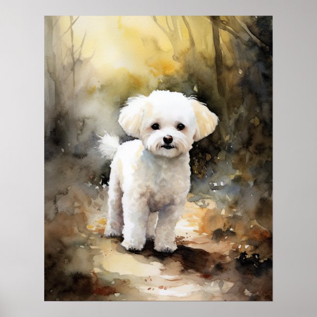 Póster Bichon Frise Dog Art Print Poster (Frente)