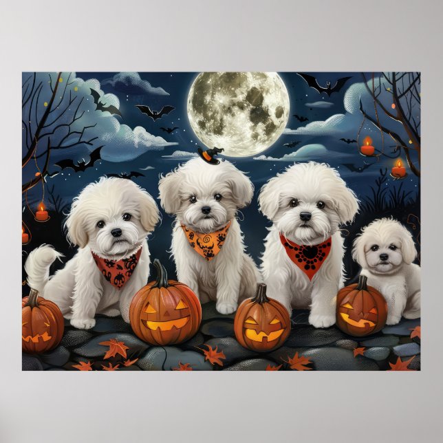 Póster Bichon Frise Halloween Espeluznante (Frente)