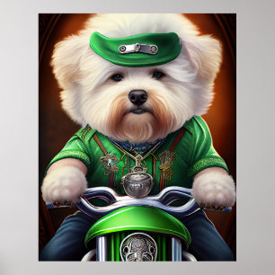 Póster Bichon Frisé Perro conduciendo bicicleta Día de Sa
