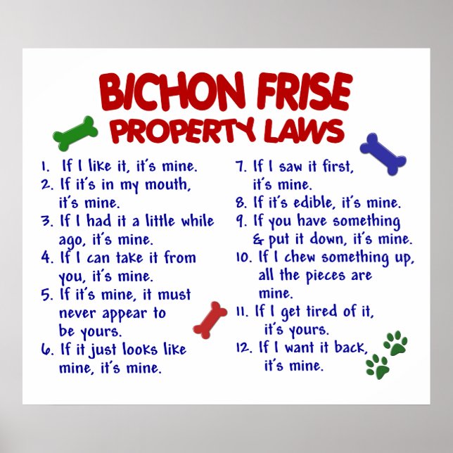 PÓSTER BICHON FRISE PL2 (Frente)