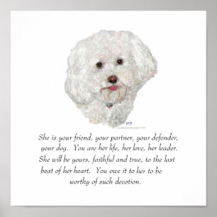Póster Bichon Frise Recuerdo HEMBRA