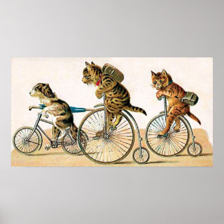 Póster Bicicleta