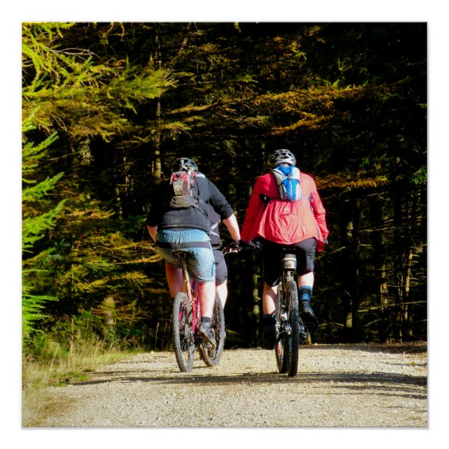 PÓSTER BICICLETA DE MONTAÑA (Anverso)