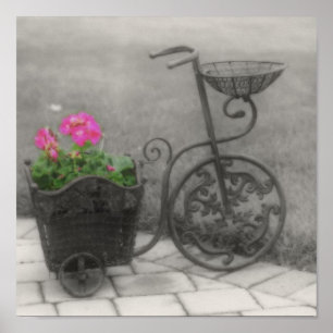 Póster Bicicleta Flor Color Parcial Blanco Y Negro