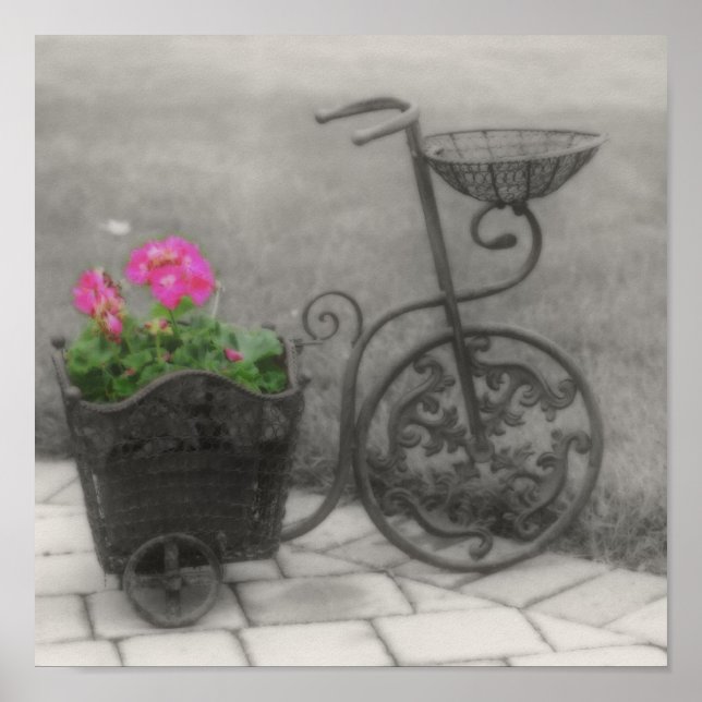Póster Bicicleta Flor Color Parcial Blanco Y Negro (Frente)