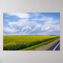 Póster Bielorrusia Campos de Canola Flores Cielo