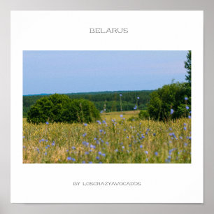 Póster Bielorrusia Poster natural del paisaje rural