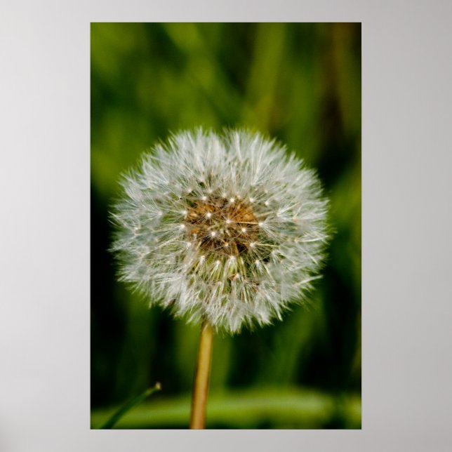 Póster Bien Golpeado (Frente)