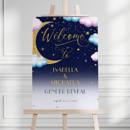 Póster Bienvenida a Fiesta por la revelación de género en