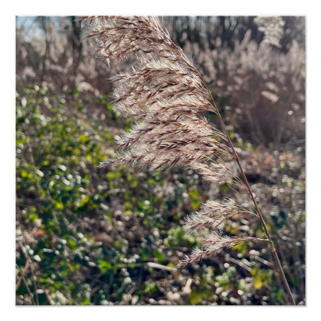 Póster Bienvenida de otoño. (Anverso)