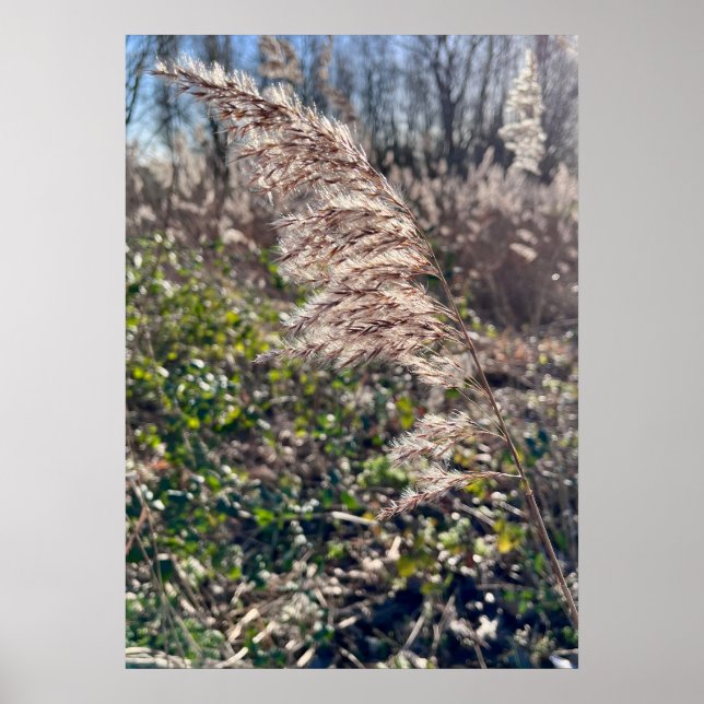 Póster Bienvenida de otoño. (Frente)