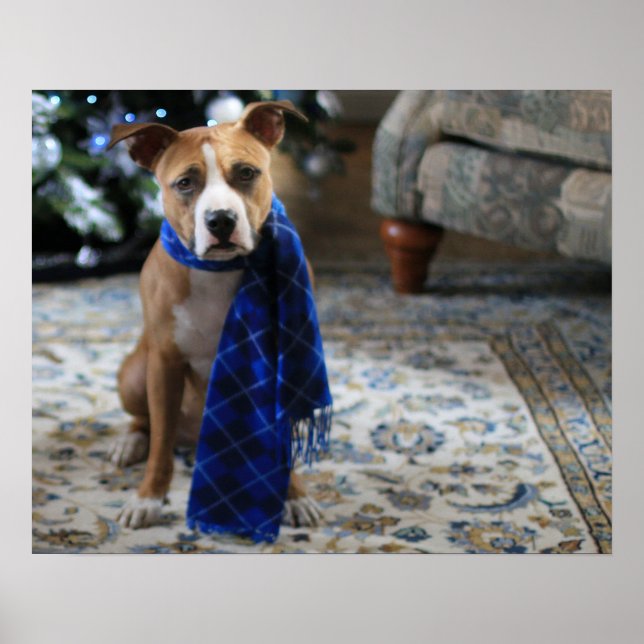 Póster Bienvenida navideña del perro de rescate de Pit Bu (Frente)