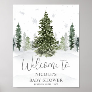 Póster Bienvenidos a Baby Shower de color de invierno sob
