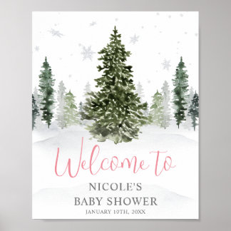 Póster Bienvenidos a Baby Shower de color invernal en el 