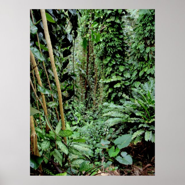 Póster Bienvenidos a la jungla (Frente)