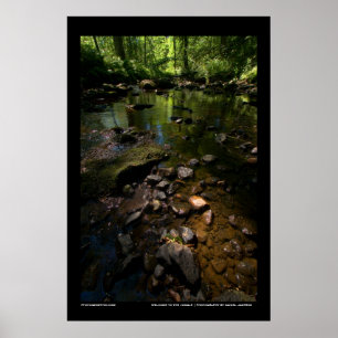Póster Bienvenidos a la jungla