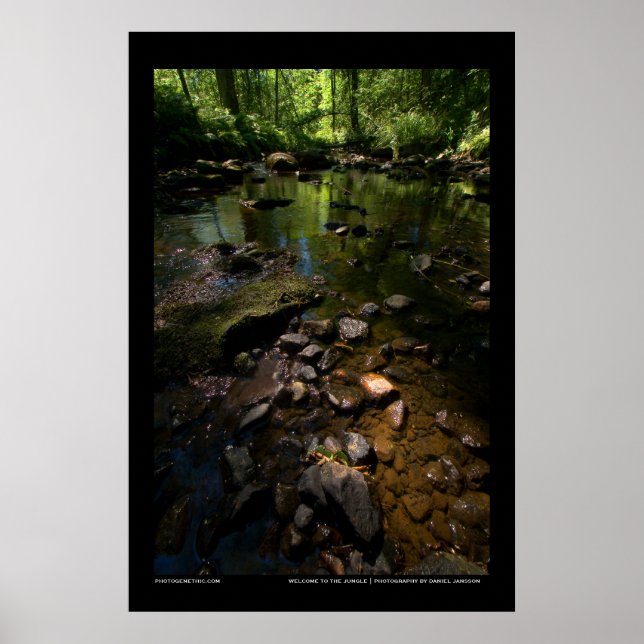 Póster Bienvenidos a la jungla (Frente)