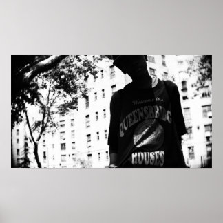 Póster Bienvenidos a las Casas Queensbridge II por Avi Av