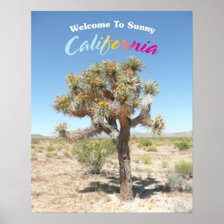 Póster Bienvenidos A Sunny California