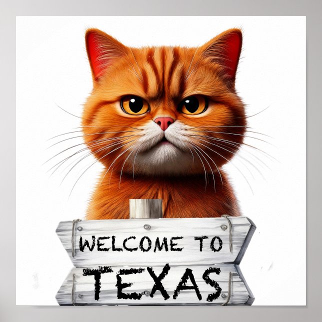 Póster Bienvenidos a Texas (Frente)
