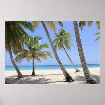 Bienvenidos al paraíso