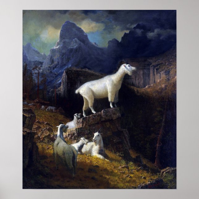 Póster Bierstadt - Cabras de las Montañas Rocosas (Frente)