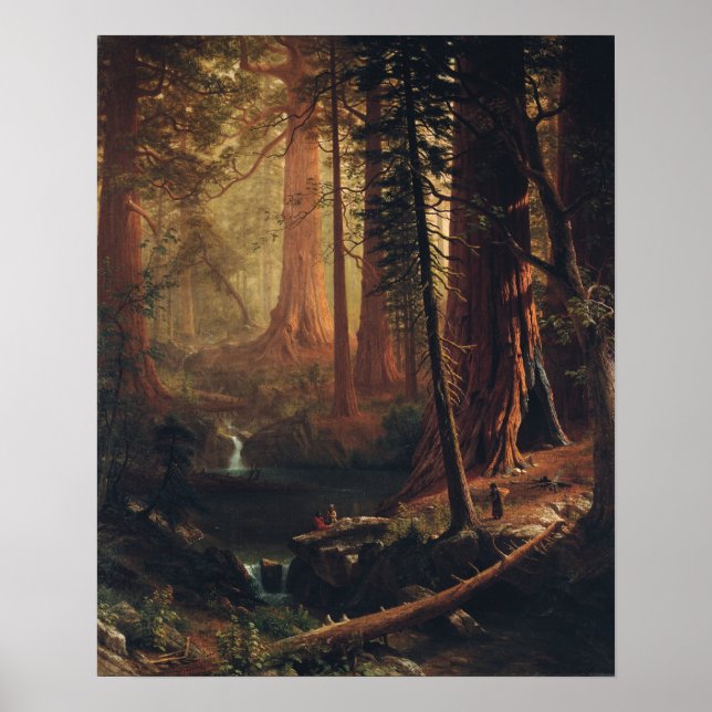 Póster Bierstadt - Gigantes Árboles De secuoya De Califor (Frente)