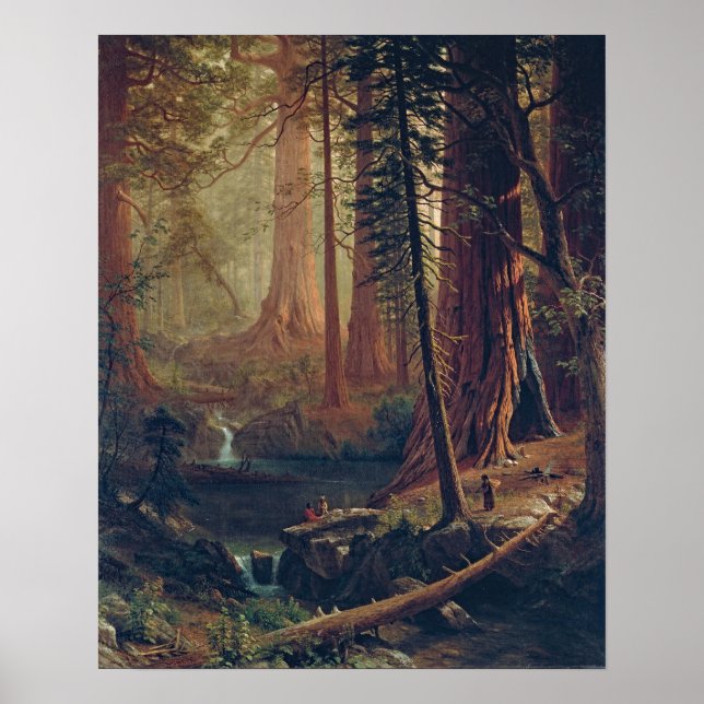 Póster Bierstadt Redwood Trees Painting (Frente)