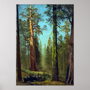 Póster Bierstadt - Secuoya Grizzly Giant Mariposa Grove