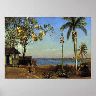 Póster Bierstadt - Una Vista En Las Bahamas