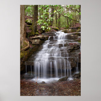 Póster Big Branch Falls